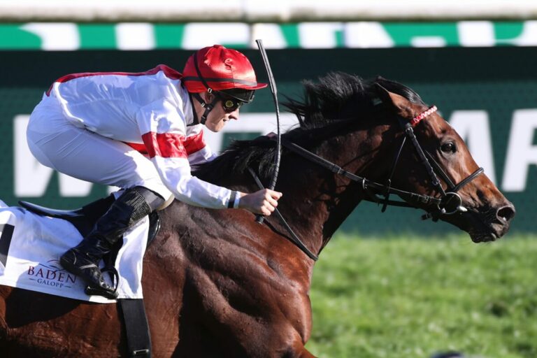 Fünf Deutsche am Samstag im St. Leger Italiano