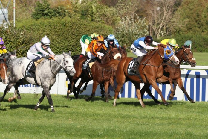 Ballindinas siegt unter Leon Wolff Ballindinas siegt unter Leon Wolff