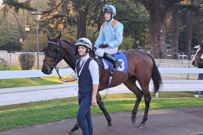 Brave Emperor in Mailand Brave Emperor in Mailand