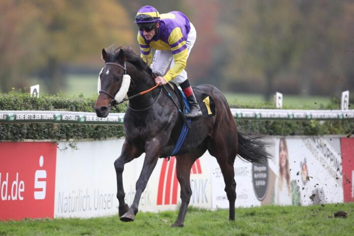 Chili Valentino siegt unter Andrasch Starke
