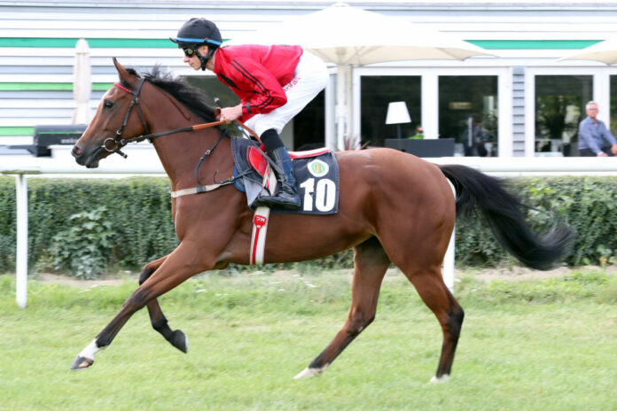 Dresden, Corbin mit Michael Cadeddu beim Aufgalopp