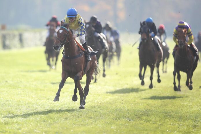 Crefelder siegt unter Jozef Bojko Crefelder siegt unter Jozef Bojko