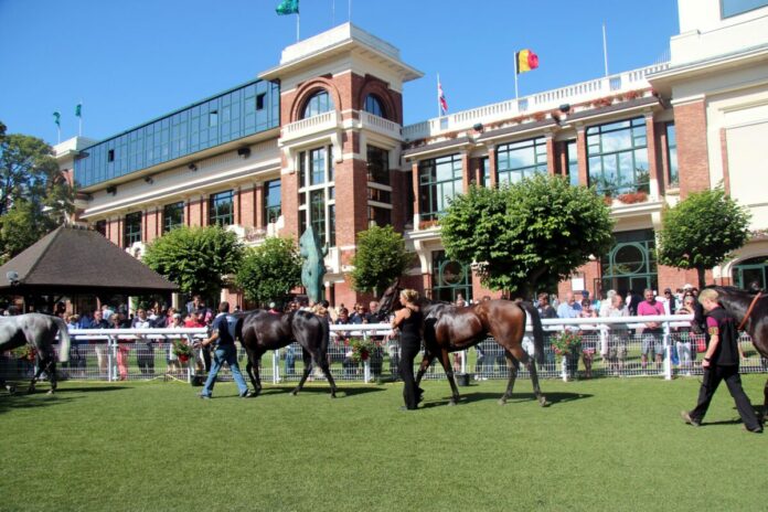 Der Absattelring auf der Rennbahn in Deauville Der Absattelring auf der Rennbahn in Deauville