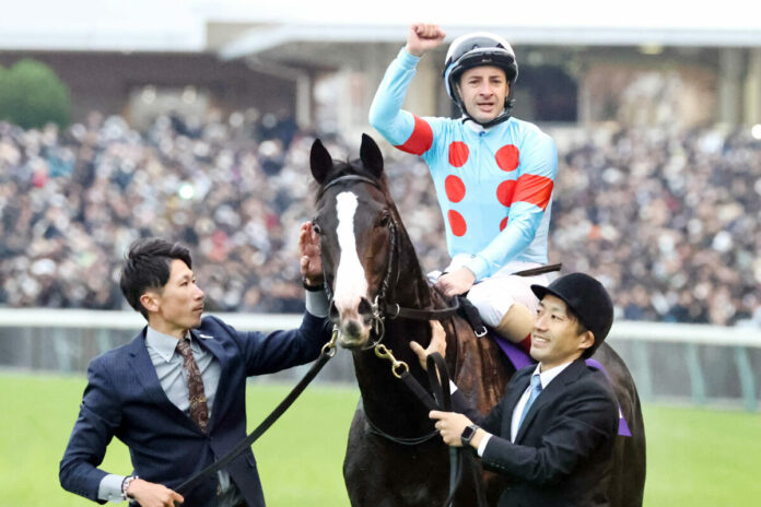 Equinox nach dem Sieg im Japan Cup Foto: Sorge Equinox nach dem Sieg im Japan Cup Foto: Sorge