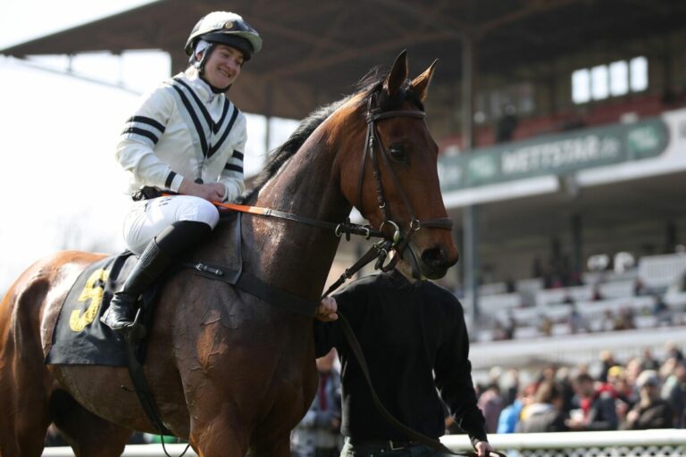 Volles Feld im letzten Black Type-Rennen?