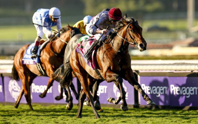Unquestionable, ridden by Ryan Moore