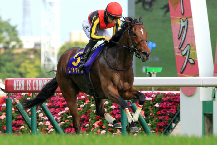 Liberty Island gewinnt die Oaks Foto: Sorge