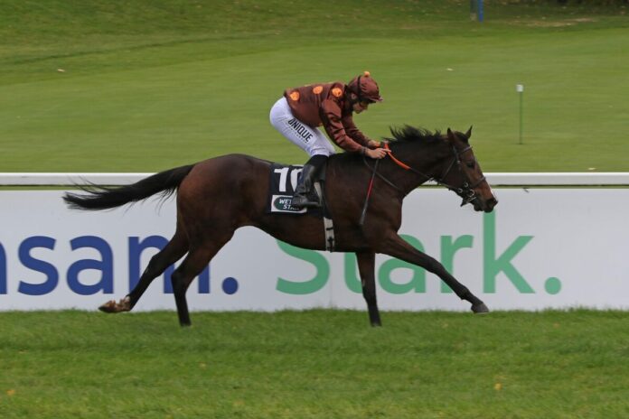 Naduah siegt unter Thore Hammer-Hansen