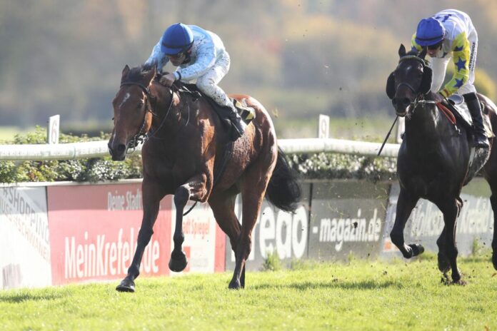 Para siegt unter Maxim Pecheur Para siegt unter Maxim Pecheur