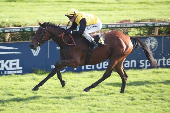 Quetame siegt unter Martin Seidl