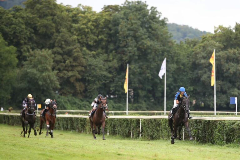 Gangartwechsel: Galopp-Reiter bei den Trabern am Start