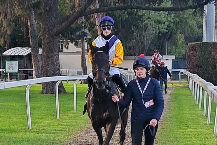 Sammarco in Mailand Sammarco in Mailand