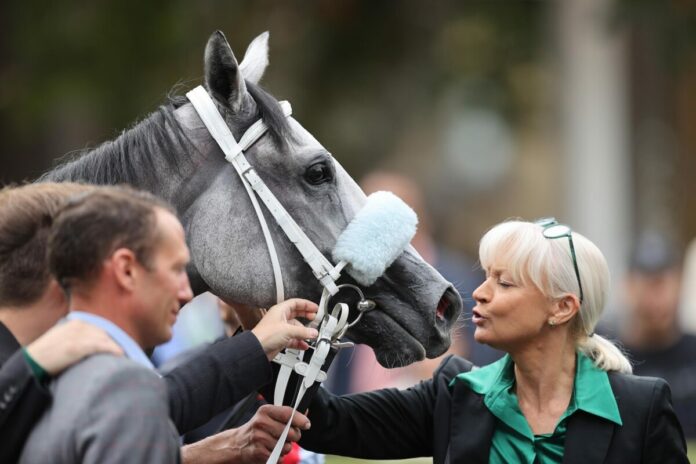 Three Havanas Three Havanas