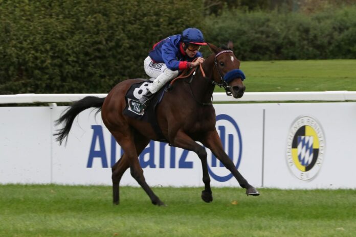 True Value siegt unter Thore Hammer-Hansen