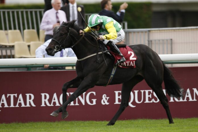 Wootton Bassett siegt im Prix Jean-Luc Lagadere