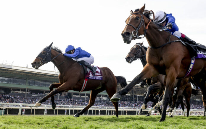 HORSE RACING 2023: Breeders Cup Championship Saturday NOV 04