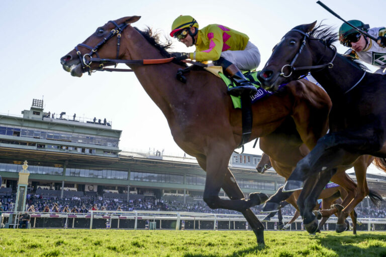 Wieder Justify-Tochter: Hard to Justify gewinnt Juvenile Fillies Turf