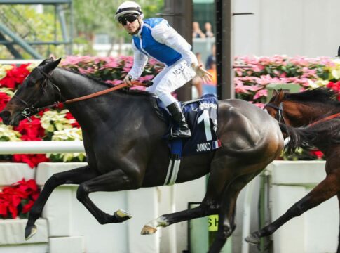 Junko gewinnt in der Vase (Foto: Hong Kong Jockey Club)