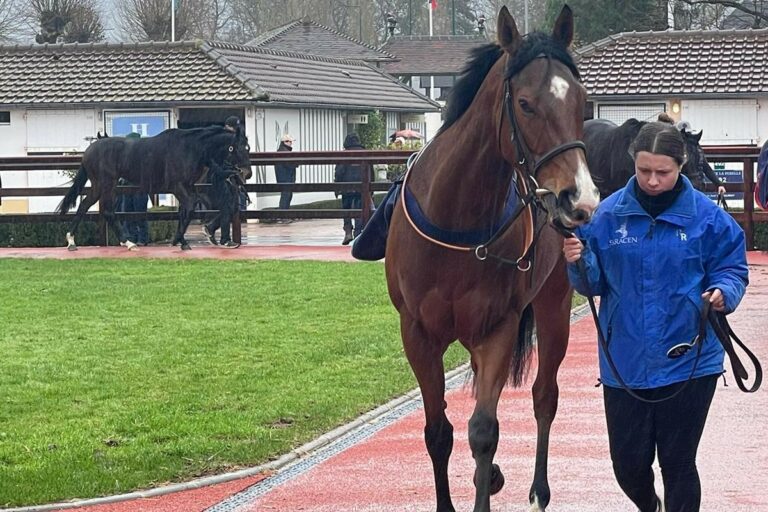 Arqana: Drei deutsche Black Type-Stuten verkauft