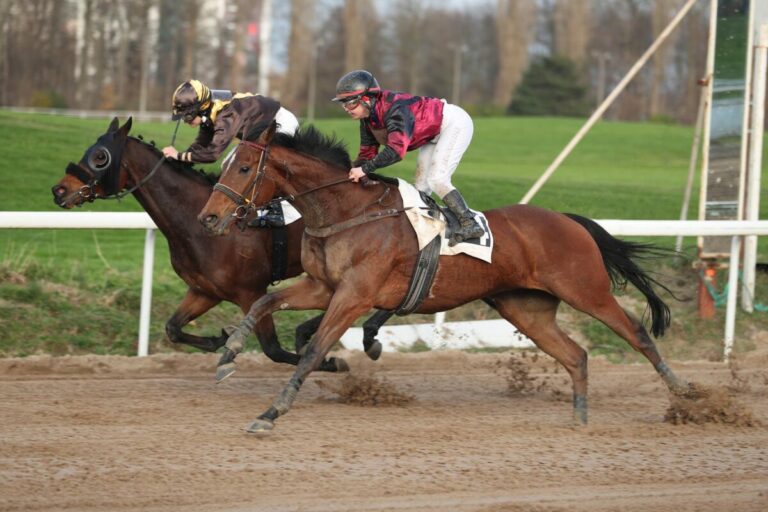 Thriller in Wambel – Totes Rennen zwischen Bearcardi und Why’s Whyoming