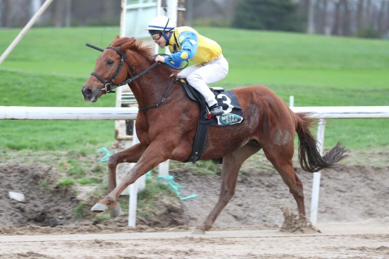 Schael macht den Deckel drauf – Schiergen ist Trainer-Champion 2023