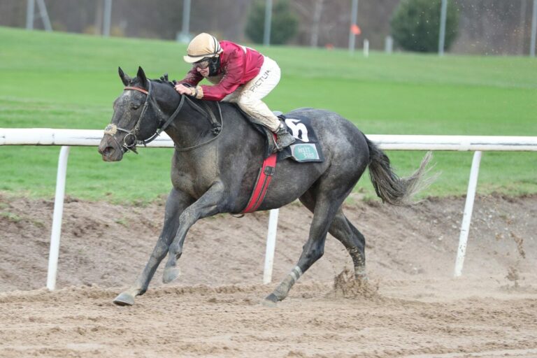 Runde fünf auf der Dortmunder Sandbahn