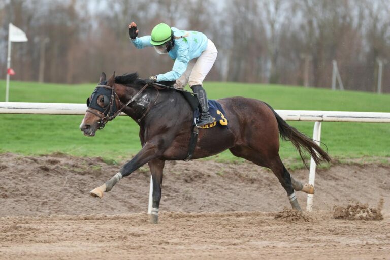 Padre Palou siegt unter Nina Baltromei im BBAG-Auktionsrennen