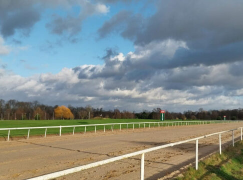 "Freies Galoppieren in Dortmund" - Hier gibts Eindrücke vom WDR