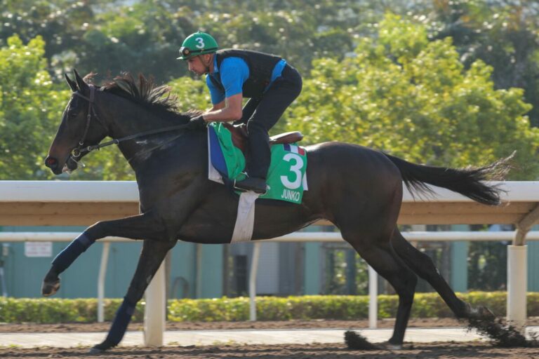 Junko greift am Sonntag in der Hong Kong Vase an Foto: hkjc.com