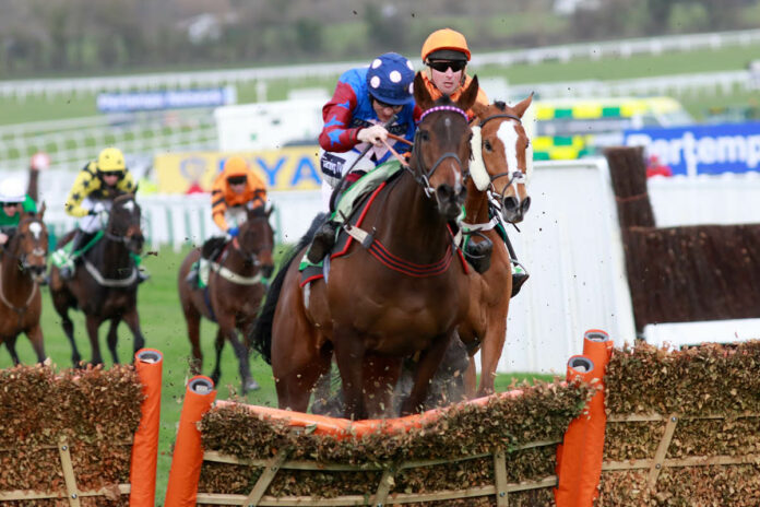 Paisley Park Foto: turfstock.com