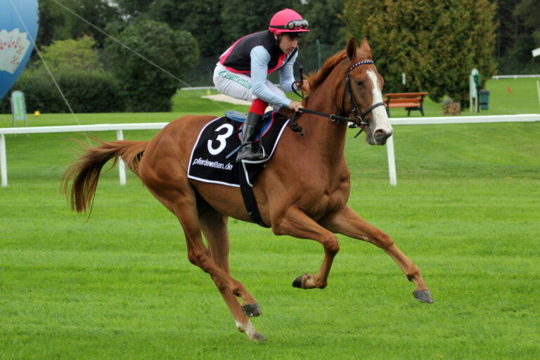 Karlshofer Party Playboy gibt nach mehr als vier Jahren sein Comeback