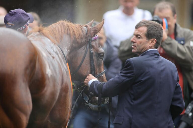Schiergen-Hengst Nasomo beim Comeback noch ohne Möglichkeiten