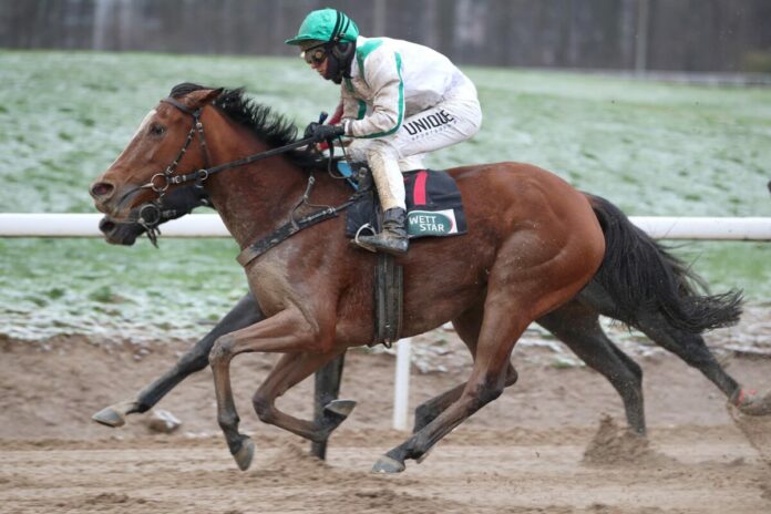 Bavaria siegt unter Thore Hammer-Hansen Bavaria siegt unter Thore Hammer-Hansen