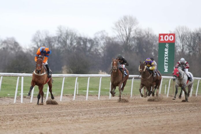 Claim The Stars siegt unter Robin Weber Claim The Stars siegt unter Robin Weber