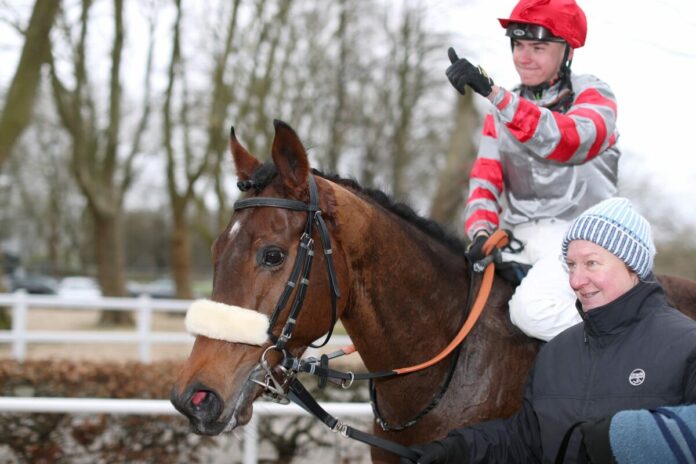 Mister Hollow siegt unter Leon Wolff