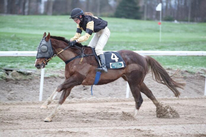 Aladar Ari siegt unter Patricia Tepper