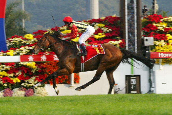 Falbrav mit Lanfranco Dettori gewinnt in The Hong Kong Cup