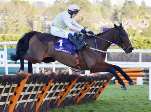 Gaelic Warrior unter Paul Townend (Archiv) Foto: Sorge