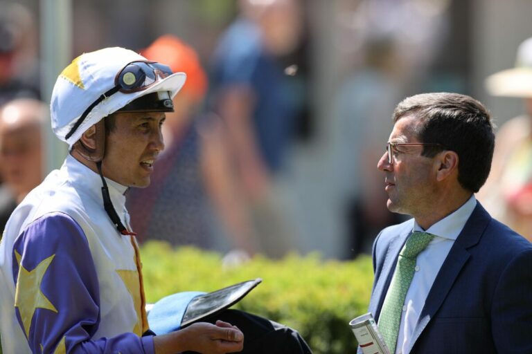 Schiergen und Murzabayev klare Favoriten bei pferdewetten und RaceBets