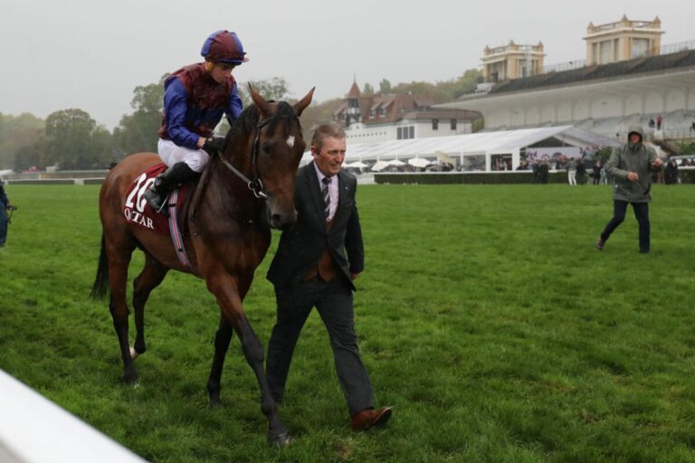Für den National Hunt-Sport – Luxembourg 2025 im Castlehyde Stud Für den National Hunt-Sport – Luxembourg 2025 im Castlehyde Stud