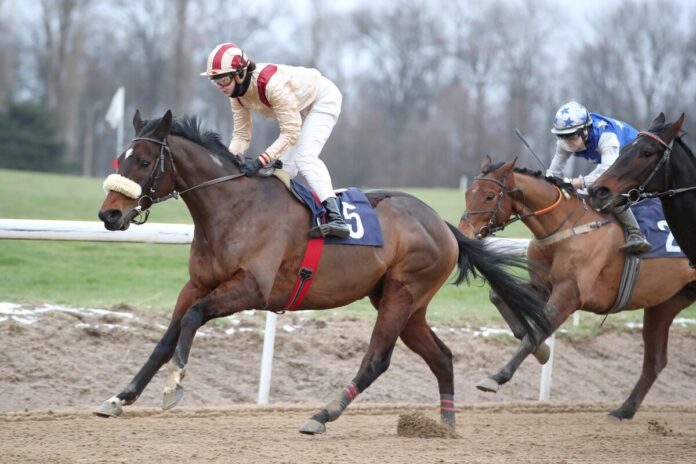 Luzum siegt unter Michaela Malacova Luzum siegt unter Michaela Malacova