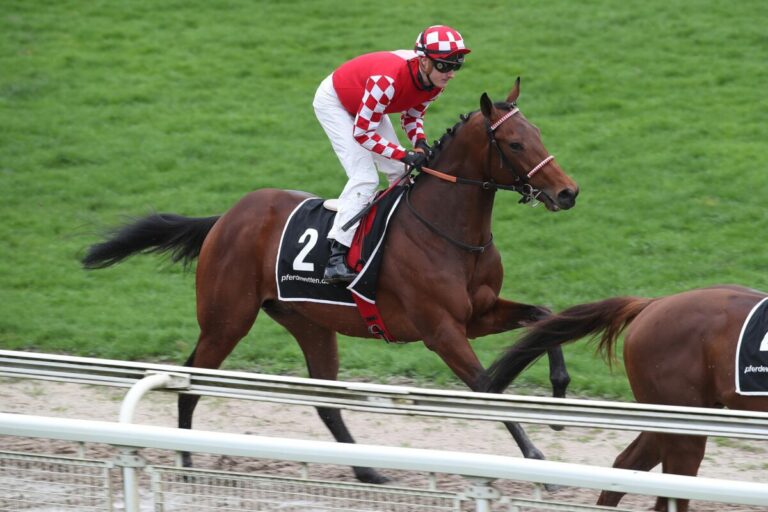 Kahraman Achter beim UAE-Debüt