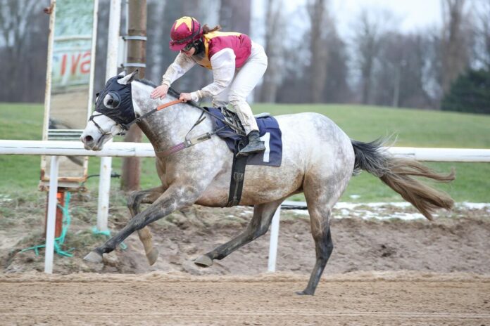 Rely On Old Sport siegt unter Anna van den Troost Rely On Old Sport siegt unter Anna van den Troost