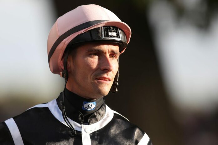 Rene Piechulek Rene Piechulek