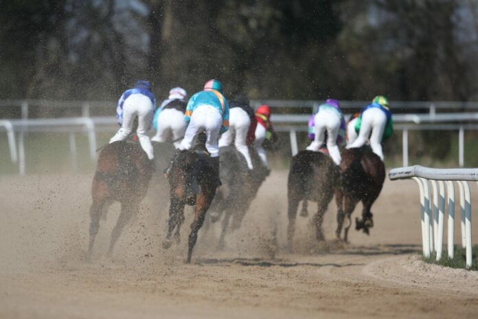 Sandbahnrennen in Dortmund Sandbahnrennen in Dortmund