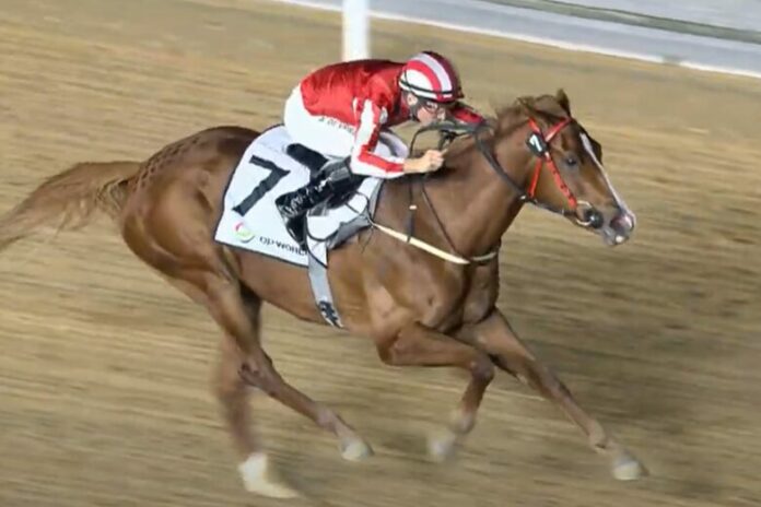 Manama Gold de Vries