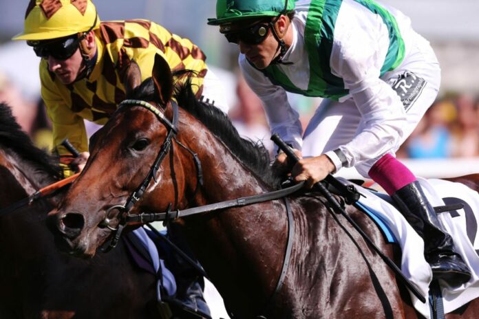 Sea The Moon im Deutschen Derby 2014 Sea The Moon im Deutschen Derby 2014