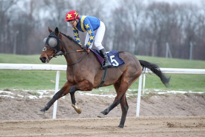 Stay First unter Bayarsaikhan Ganbat