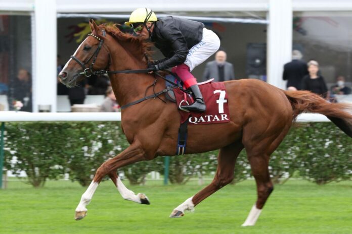 Stradivarius Stradivarius