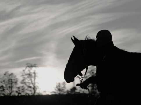Deckhengst-Legende Distorted Humor im hohen Alter von 33 eingeschläfert